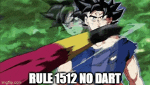 Rule 1512 No Dart GIF - Rule 1512 No Dart Goku Rule GIFs