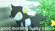 Funky Cat Gc Good Morning GIF - Funky Cat Gc Good Morning Luxio GIFs