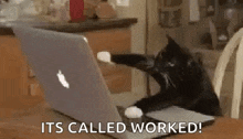 a black cat is sitting at a table with a laptop computer .