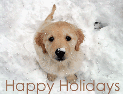Woof GIF - Dog Puppy Happy Holidays GIFs