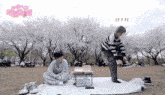 a couple of people sitting on a blanket in a park with trees in the background and a sign that says cherry blossoms