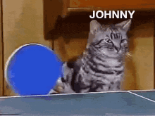 Johnny Angus Table Tennis GIF - Johnny Angus Table Tennis GIFs