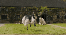 Ostrich Dance GIF - Ostrich Dance GIFs
