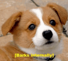 Barks Barks Internally GIF - Barks Barks Internally Dog GIFs