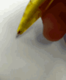 Pen Writing Animation GIFs | Tenor