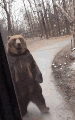 untitled.gif