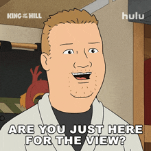a cartoon of a man saying " are you just here for the view " from king of the hill