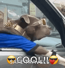 a dog wearing sunglasses and a gold collar is sitting in a car with the words safe travels below it