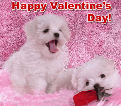 cute happy valentines day puppy
