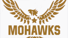 Mohawks Celebration GIF - Mohawks Celebration Champion GIFs