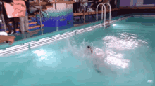 Swimming Pool GIF - Swimming Pool Water GIFs