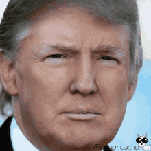 Trump Donald GIF - Trump Donald Donald Trump GIFs