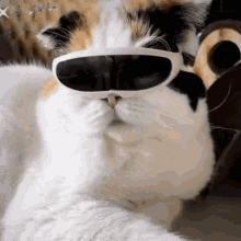 Tumamink Cat GIF - Tumamink Cat Cool GIFs