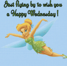 Tinkerbell Happy Wednesday GIF - Tinkerbell Happy Wednesday Fly GIFs