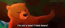 bears brother bear not a bear