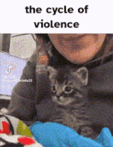 Cat Cat Meme GIF - Cat Cat Meme Cat Violence GIFs