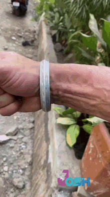 a close up of a person 's arm with the word zosh on the bottom right