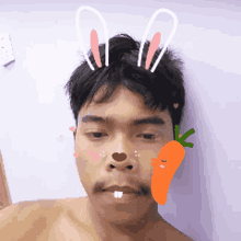Filter Selfie GIF - Filter Selfie Carrot GIFs
