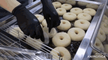 a bunch of donuts are being cooked in a fryer with the words made in animatica on the bottom