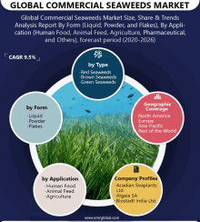 Global Commercial Seaweeds Market GIF - Global Commercial Seaweeds Market GIFs