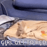 Bunny Cute Bed Sleep GIF