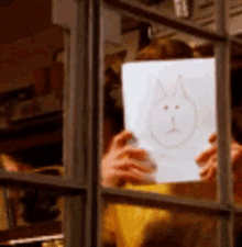 Cats Scary GIF - Cats Scary GIFs