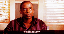 Psych Gus GIF - Psych Gus What GIFs