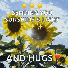 You Are My Sunshine I Love You GIF - You Are My Sunshine I Love You Sunflower Power GIFs