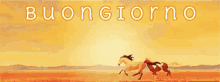 a painting of horses running in the desert with the words buongiorno above them