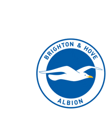Brighton Brighton Fc GIF - Brighton Brighton Fc Brighton And Hove GIFs