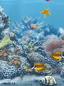 Undersea Fishes GIF - Undersea Fishes Corals GIFs