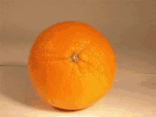 Process Of Eating An Orange GIF - Orange Eating Fruit GIFs