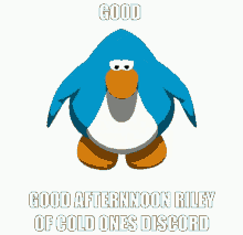 Club Penguin Good Afternoon GIF - Club Penguin Good Afternoon GIFs