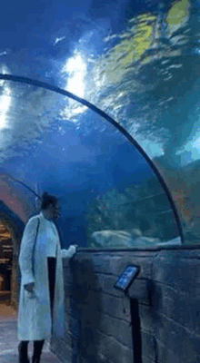 aquarium malta monica underwater