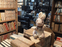 Bunny Book Store GIF