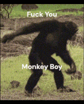 Monkey Boy Dancing Monkey GIF - Monkey Boy Dancing Monkey GIFs