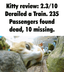 Kitty Review Kitty GIF - Kitty Review Kitty Review GIFs