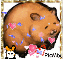 a picture of a hamster surrounded by hearts and butterflies with the words picmix at the bottom