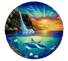Dolphin Nature GIF - Dolphin Nature Waterfalls GIFs