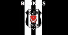 Beşiktaş Bjk GIF - Beşiktaş Bjk GIFs