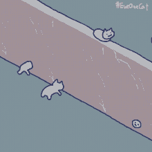 Cats Banging Head GIF - Cats Banging Head Clipping Through Wall GIFs