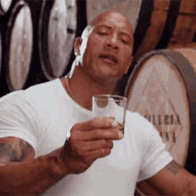 cheers-the-rock.gif