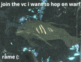 Vc Fish GIF