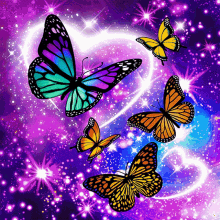 butterflies stars galaxy outer space insects