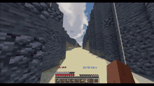 a screenshot of a minecraft game shows a player 's progress