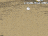 a cricket league match is being played on a green field