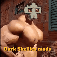 Dark Skellies Dark Skellies Mods GIF - Dark Skellies Dark Skellies Mods GIFs