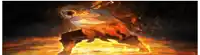 a man is standing in the middle of a fire surrounded by flames .