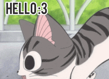 a cartoon cat with the words hello : 3 written above it