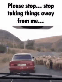 a car is driving down a road with a herd of sheep behind it and the words please stop stop taking things away from me